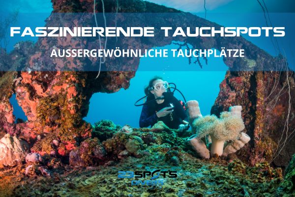 Faszinierende Tauchspots