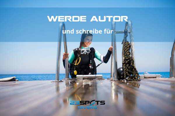 Schreibe für uns
