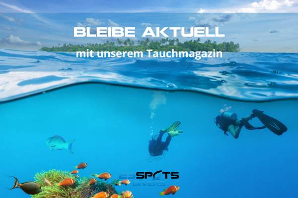 Tauchmagazin