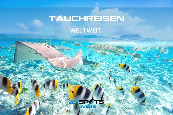 Tauchreisen, Tauchurlaub 01