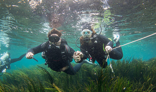 diving_in_a_river_flusstauchen