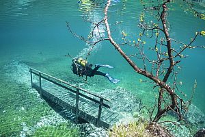 tauchen_gruener_see tauchen_gruener_see