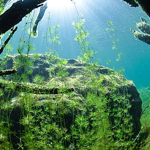 tauchen_im_attersee tauchen_im_attersee