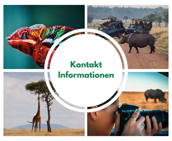 Kontakt Informationen Afrika