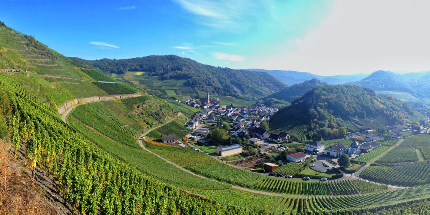 rotweinwanderweg ahrtal wandern