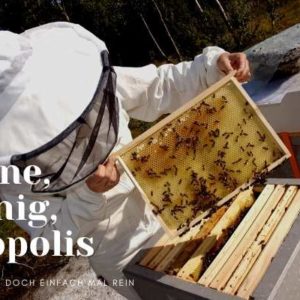 Discover Beekeeping