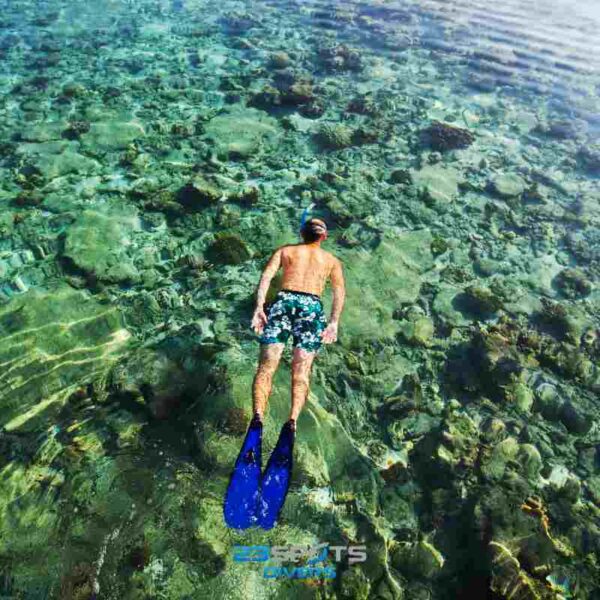Discover Snorkeling Kurs – Bild 5