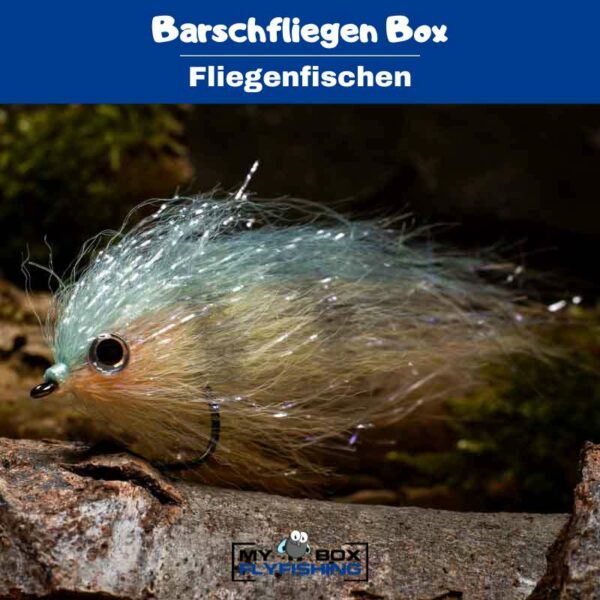 Barschfliegen Box – Bild 3