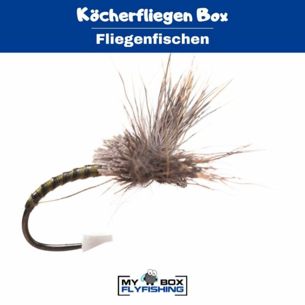 Köcherfliegen Box – Bild 2