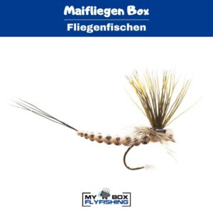 Maifliegen Box – Bild 2