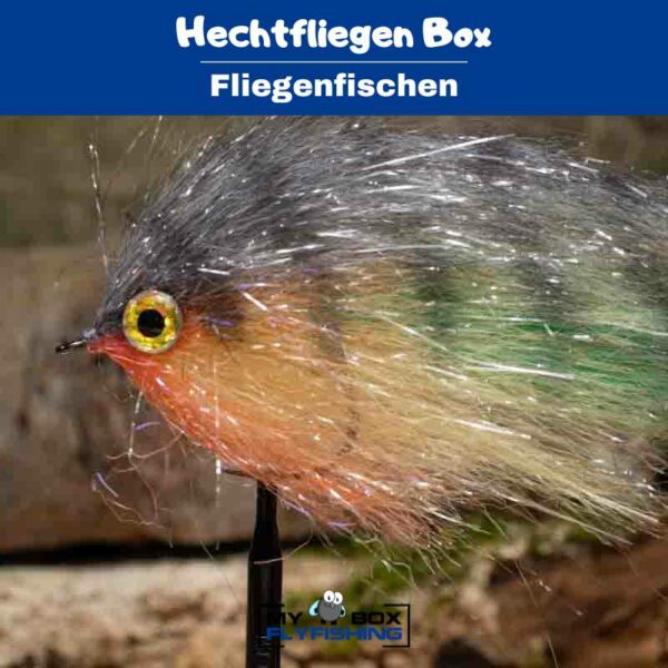Hechtfliegen Box