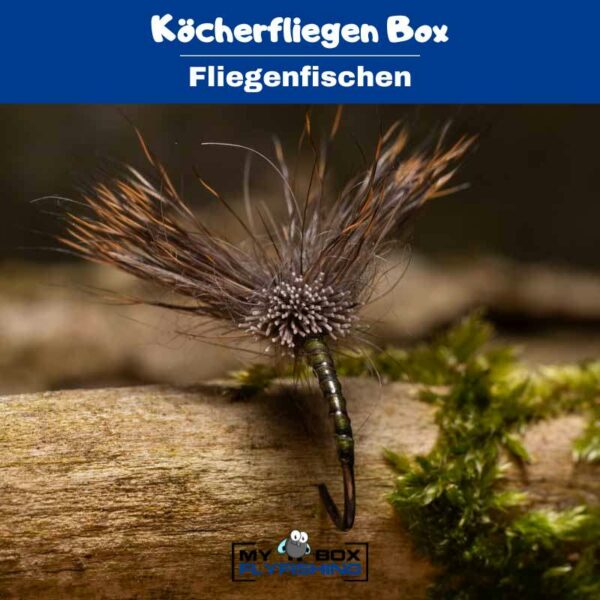 Köcherfliegen Box