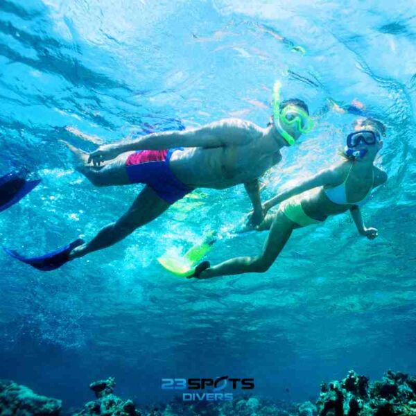 Discover Snorkeling Kurs – Bild 2