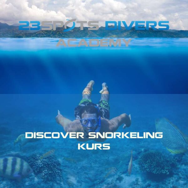 Discover Snorkeling Kurs