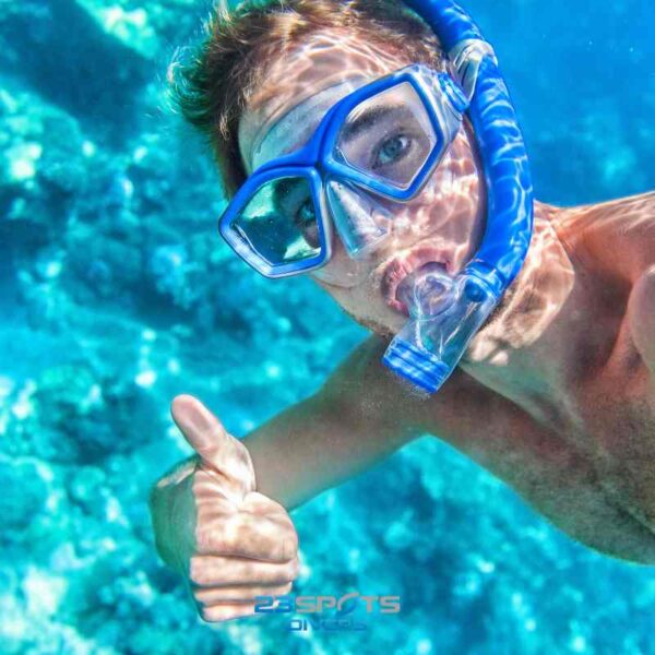 Discover Snorkeling Kurs – Bild 6